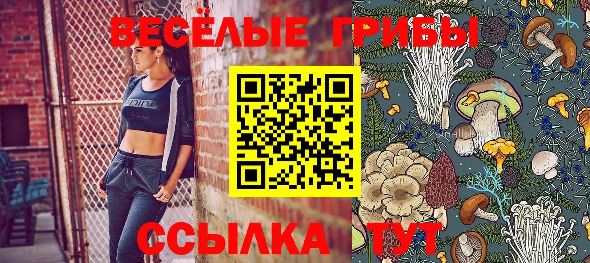 Благодарный  Галлюциногенные грибы Psilocybe  Вход с VPN  Галлюциногенные грибы ЛСД 