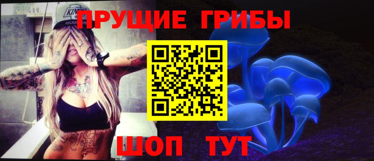 Галлюциногенные грибы Psilocybe Благодарный