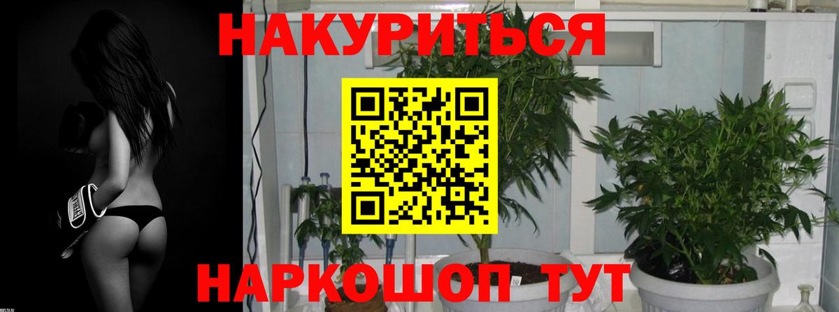 Бошки марихуана LSD WEED  Вход с VPN  Благодарный  МАРИХУАНА планчик 